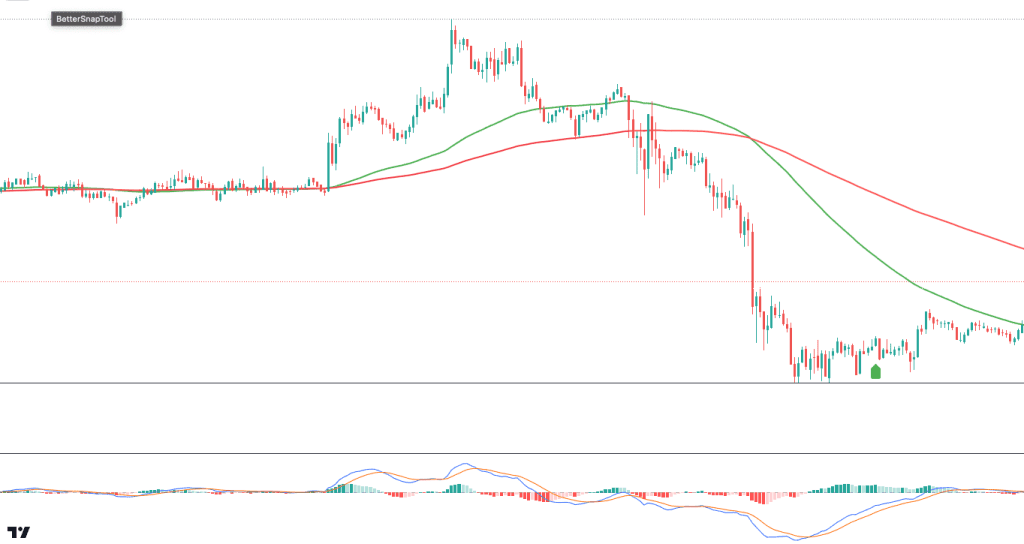 Moving Average + MACD TradingView Chart